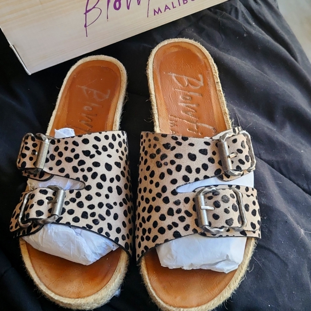 Blowfish slides